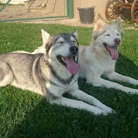 Penzion Biela Voda 3*